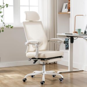 Mesh Ergonomic Office Chair With Footrest, Headrest, Recline, Swivel, And Casters