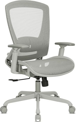 Mesh Office Chair With Adjustable Lumbar Support, Armrests, Tilt Function, And Swivel Base