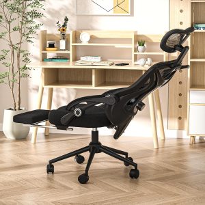 Mesh Ergonomic Office Chair With Recline, Footrest, Lumbar Support, And Headrest