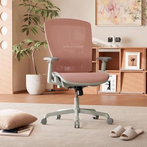 Mesh Ergonomic Office Chair With Adjustable Lumbar Support, Armrests, Recline, And Swivel Function
